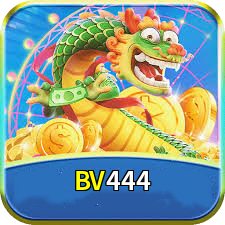 BV444 logo